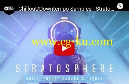 Black Octopus Sound Stratosphere WAV XFER RECORDS SERUM-DISCOVER的图片1