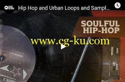 Black Octopus Sound Soulful Hip Hop WAV-DISCOVER的图片1