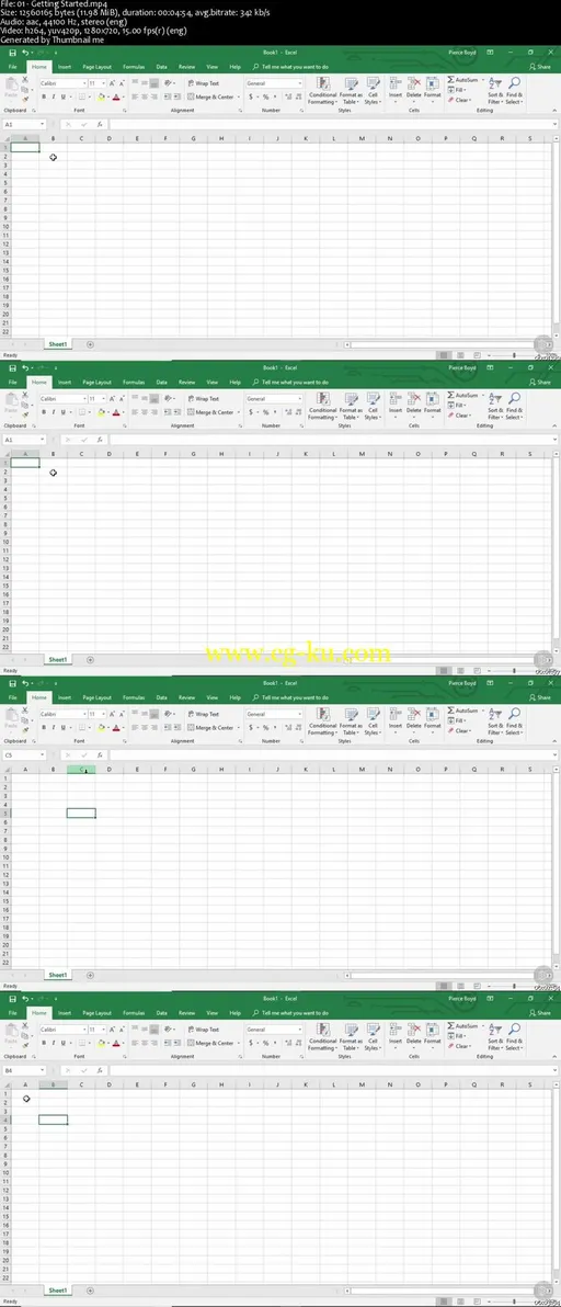 Excel 2019 Essentials的图片1