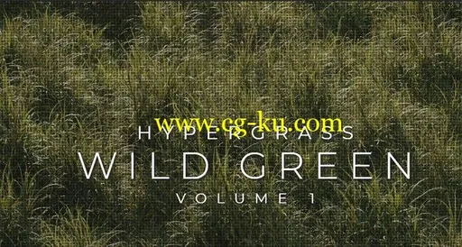 Vertex Library HyperGrass 01 WildGreen的图片1