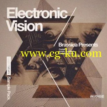 Loopmasters Brassica Electronic Vision WAV REX的图片1