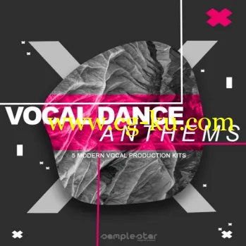 Samplestar Vocal Dance Anthems WAV MiDi-DISCOVER的图片1