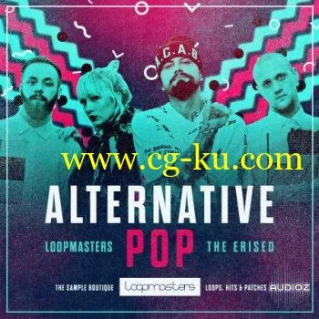 Loopmasters The Erised Alternative Pop WAV REX的图片1