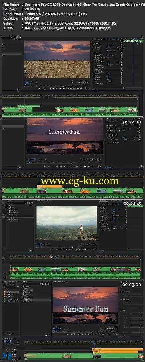 Premiere Pro CC 2019 Basics In 40 Mins: For Beginners Crash Course的图片1