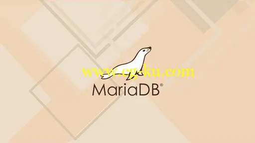 Learn MariaDB : A Beginner to Advanced Guide的图片1