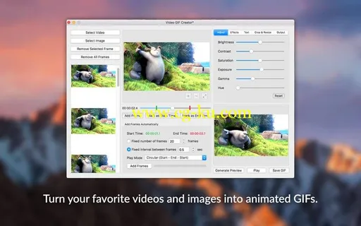 Video GIF Creator 1.2 MacOS的图片1