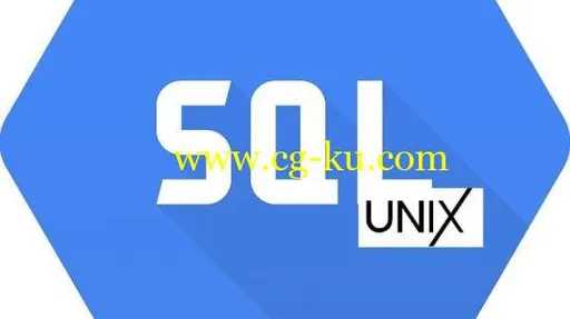 Top Rated SQL(DB Testing) & Unix( + Shell script) for Tester的图片1