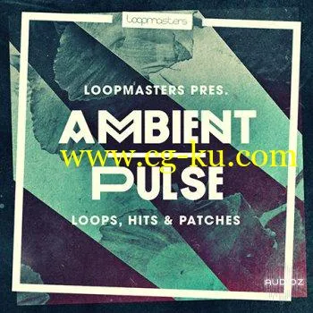 Loopmasters Ambient Pulse WAV REX的图片1