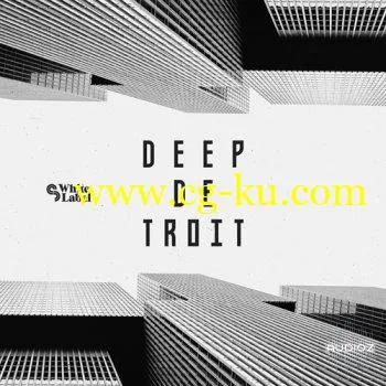 Sample Magic Deep Detroit MULTiFORMAT的图片1