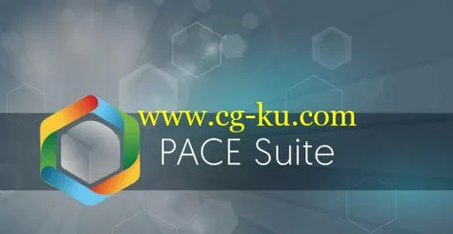 Infopulse PACE Suite Enterprise 5.1.0.7的图片1