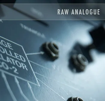 SoundsDivine Raw Analogue Series MULTiFORMAT的图片1