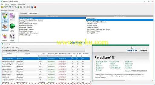 Emerson Paradigm 18 build 2018.06.28的图片2