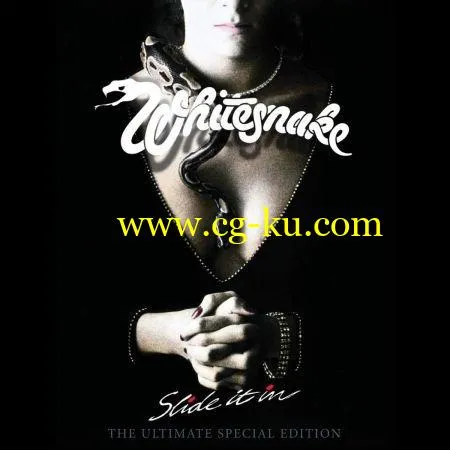 Whitesnake – Slide It In: The Ultimate Special Edition (1984/2019) Flac的图片1