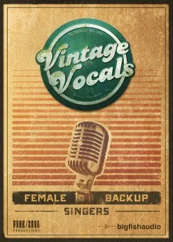 Big Fish Audio Vintage Vocals KONTAKT的图片1