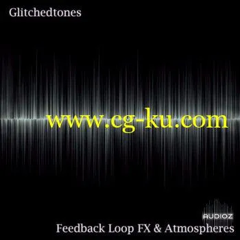 Glitchedtones Feedback Loop FX and Atmospheres WAV的图片1