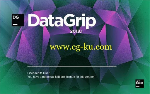 JetBrains DataGrip 2018.3.4的图片1