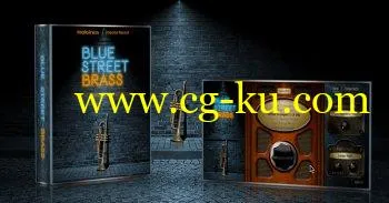 Indiginus Blue Street Brass KONTAKT的图片1