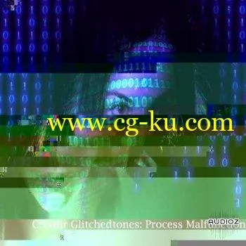 Glitchedtones Process Malfunction WAV的图片1