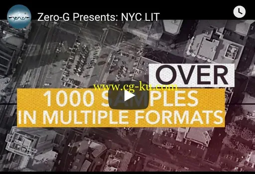 Zero-G NYC Lit MULTiFORMAT的图片1