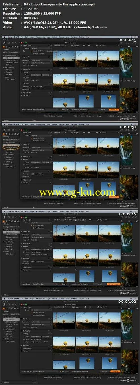 Capture One Pro 12 Essential Training的图片1