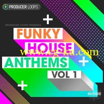 Producer Loops Funky House Anthems Vol 1 ACiD WAV MiDi REX的图片1