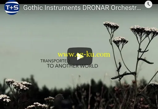 Gothic Instruments DRONAR Orchestral Woodwinds KONTAKT的图片1