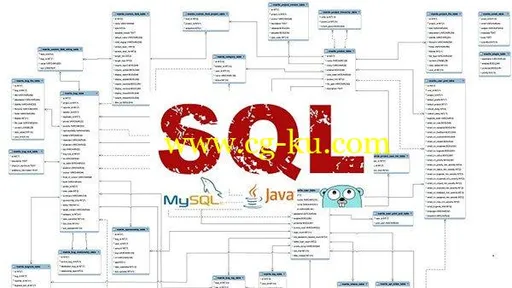 Mastering SQL (Using MySQL, Java, and Go)的图片1