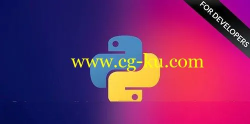 Python Programming for Developers的图片1