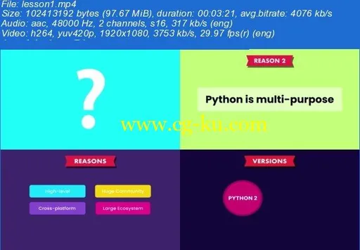 Python Programming for Developers的图片2