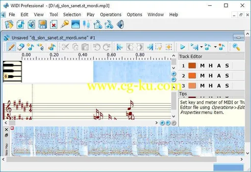 WIDI Recognition System Professional 4.5.0 Build 677的图片1