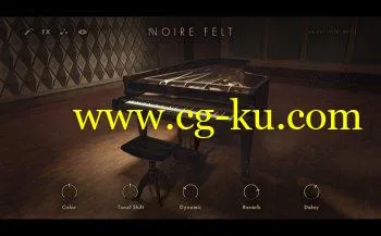 Native Instruments Noire v1.0.0 KONTAKT-SYNTHiC4TE的图片1