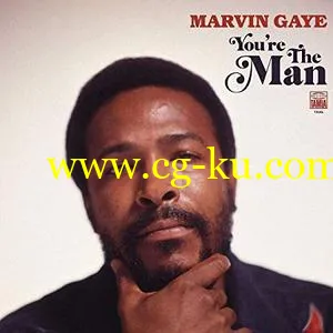 Marvin Gaye – You’re The Man (2019) FLAC的图片1