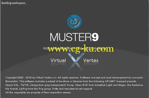 Virtual Vertex Muster 9.0.12 x64的图片1