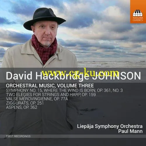 Liepāja Symphony Orchestra & Paul Mann – David Hackbridge Johnson: Orchestral Music, Vol. 3 (2019) FLAC的图片1