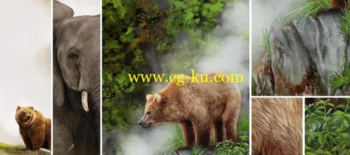 Digital Painting Paint a Bear in Photoshop的图片1