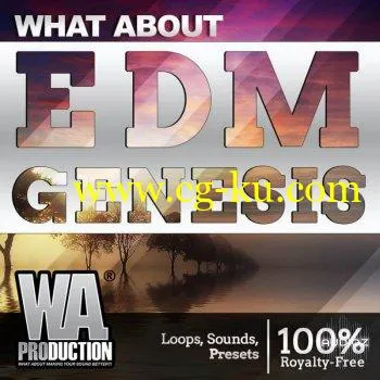 W.A.Production EDM Genesis WAV MIDI FXP FLP-SYNTHiC4TE的图片1