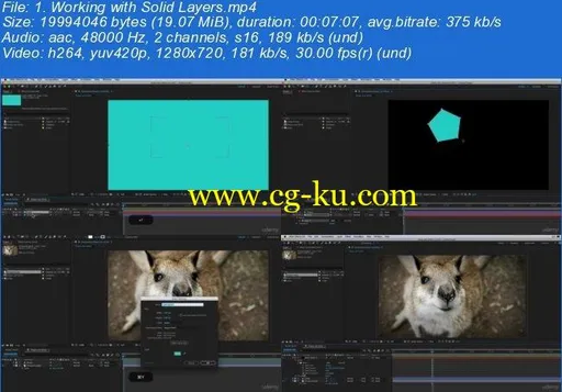 After Effects CC Masterclass: Beginner to Advanced的图片2