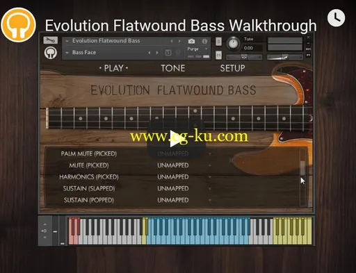Orange Tree Samples Evolution Flatwound Bass的图片1