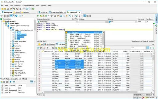DbVisualizer Pro 10.0.20的图片1