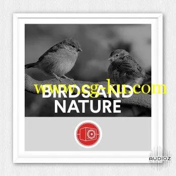 Big Room Sound Birds and Nature WAV的图片1