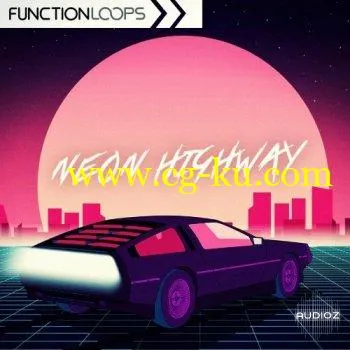 Function Loops Neon Highway MULTiFORMAT-DECiBEL的图片1