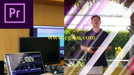 Adobe Premiere CC 2019 – Quick Start Zero To Hero的图片1