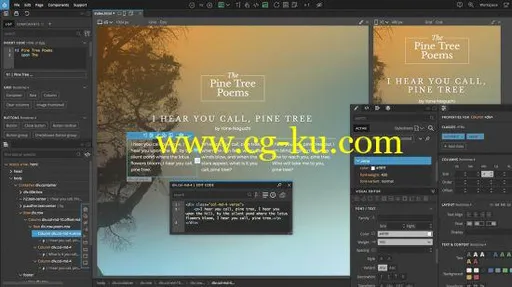 Pinegrow Web Editor Pro 5.41的图片1