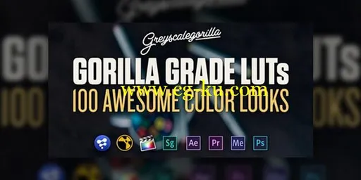 Greyscalegorilla – Gorilla Grade LUT’s (Updated)的图片1