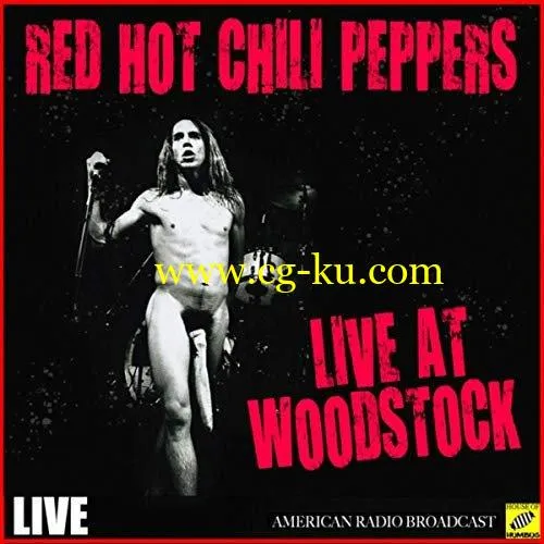 Red Hot Chili Peppers Live at Woodstock (Live) (2019) Flac的图片1