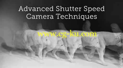 Advanced Shutter Speed Techniques的图片1