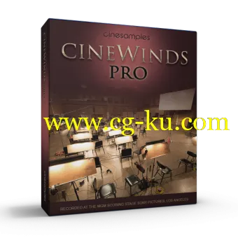 Cinesamples CineWinds PRO v1.3 KONTAKT的图片1