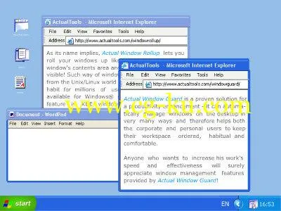 Actual Window Guard 8.14 Multilingual的图片1