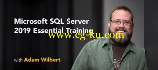 Microsoft SQL Server 2019 Essential Training的图片2