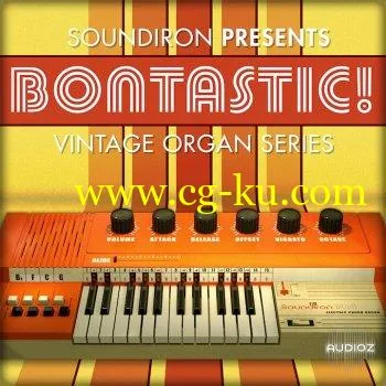 Soundiron Bontastic! KONTAKT的图片1